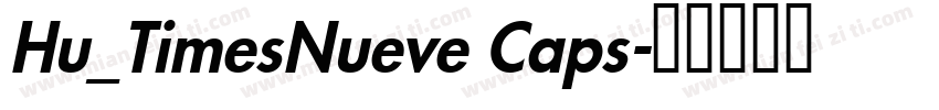 Hu_TimesNueve Caps字体转换